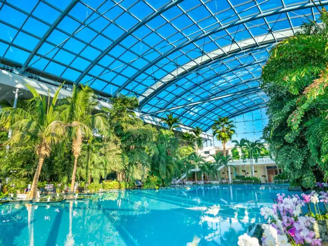 Excursión a las termas con entrada desde Bucarest