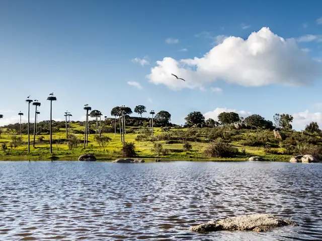 Desde Cáceres: Excursión a los Barruecos