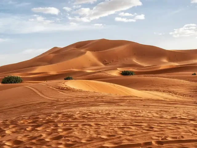 Excursión de 2 días al desierto de Merzouga desde Fex