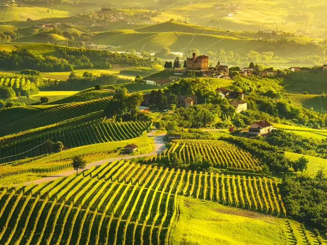 Excursión a la región del Chianti con cata desde Florencia