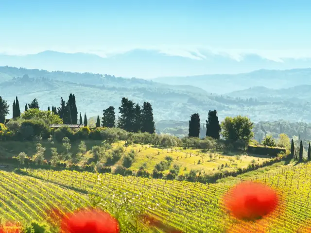 Excursión a Pisa, San Gimignano y Siena con almuerzo desde Florencia