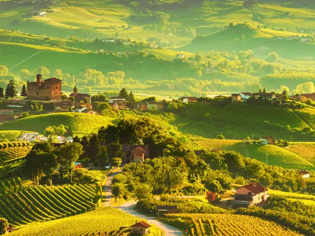 Excursión a Siena y cata de vinos en el Chianti desde Florencia