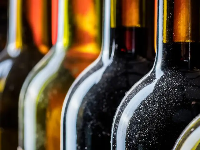 Excursión a las bodegas de Madrid desde Madrid