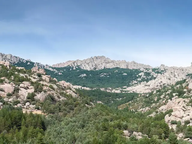 Excursión al Parque Nacional de Guadarrama desde Madrid