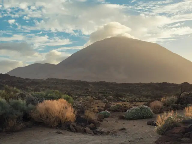 Desde Tenerife: Excursión al Teide, Icod, Garachico y Masca