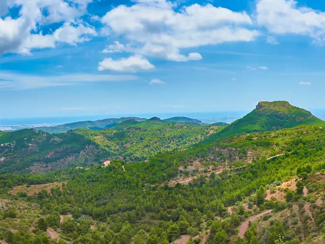 Excursión en 4x4 por el Parque Natural de Calderona desde Valencia