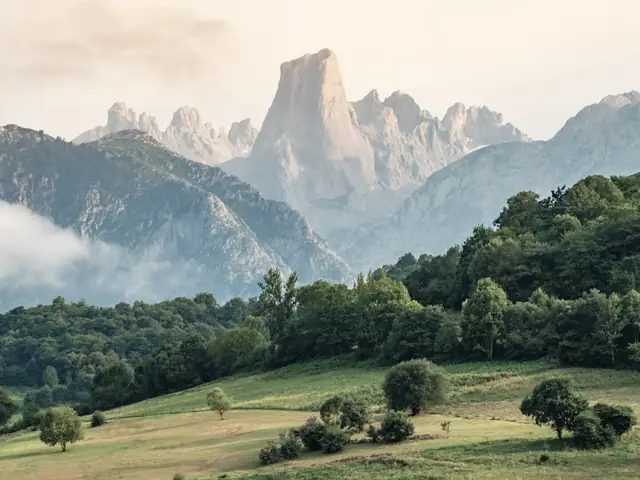 Excursión a Picos de Europa con funicular a Bulnes y cueva Cabrales con degustación desde Gijón