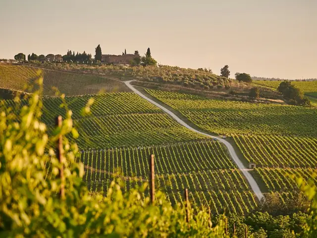 Excursión en tren a la Toscana con almuerzo y cata de vino desde Roma