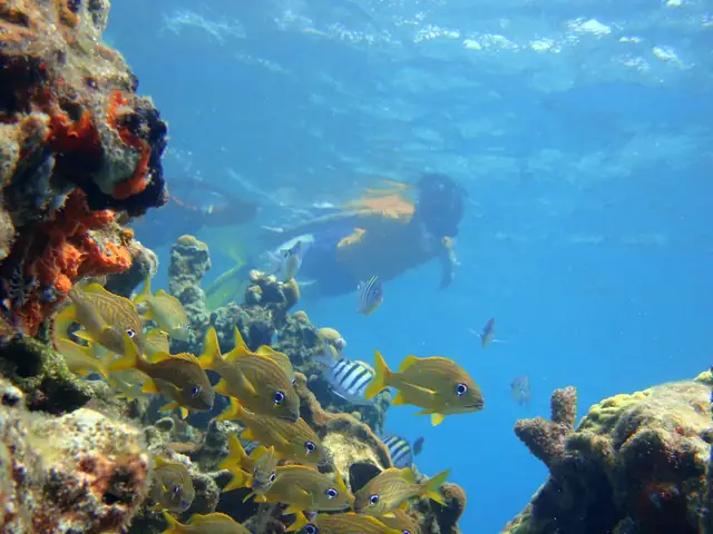 Excursión al hotel Isla del Sol desde Cartagena de Indias