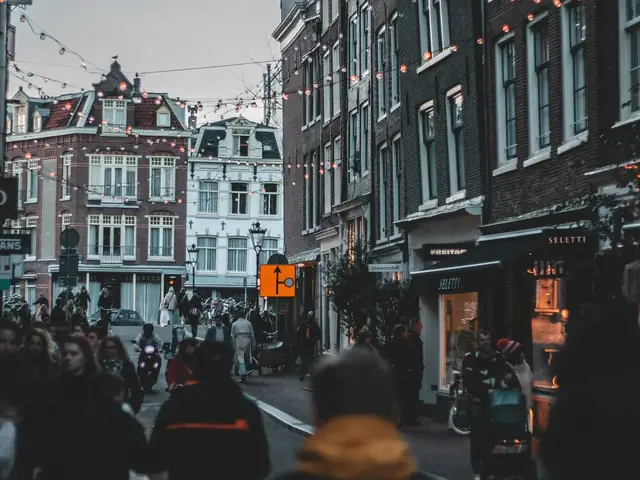 Excursión a Ámsterdam con paseo en barco por los canales desde Bruselas