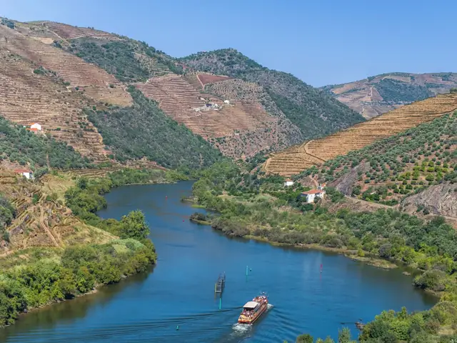 Excursión al Duero con Bodega y Barco desde Oporto