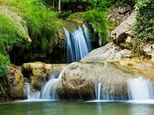 Excursión a Las Terrazas y Salto de Soroa desde La Habana
