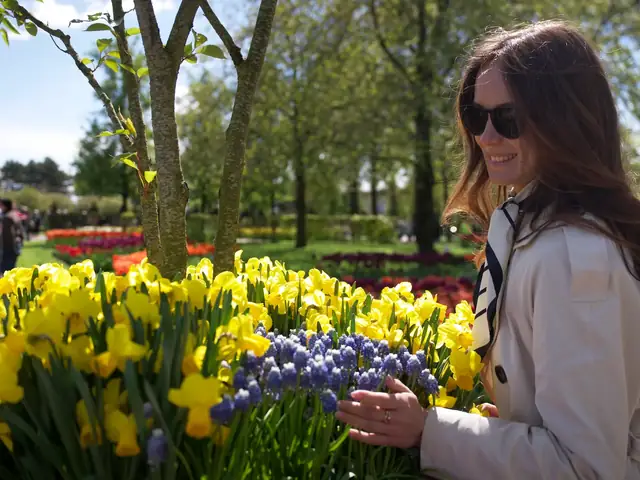 Excursión privada a Keukenhof desde Utrecht