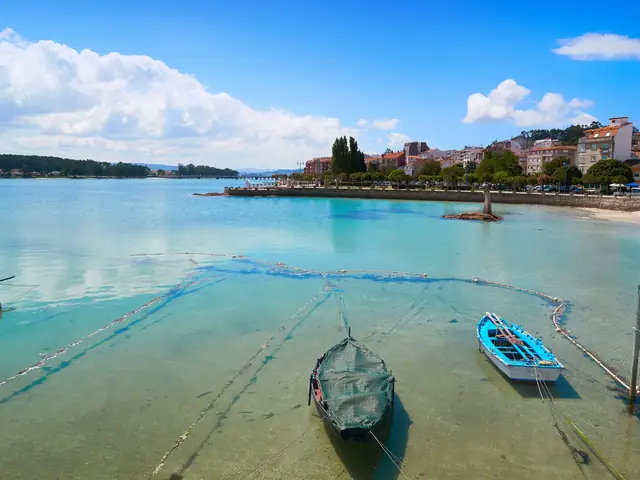 Excursión a las Rías Baixas desde A Coruña con paseo en barco y degustación de mejillones y vino opcionales