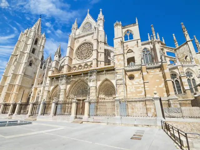 León