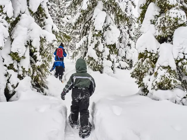 Ruta en raquetas de nieve por Laponia
