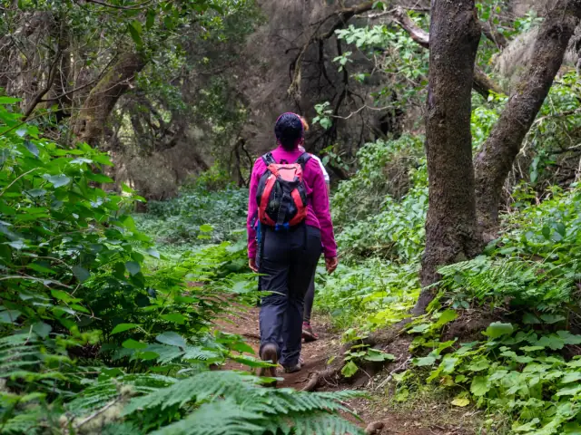 La Palma