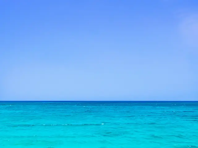 Un día en el mar a bordo de un catamarán con almuerzo incluido en Valencia