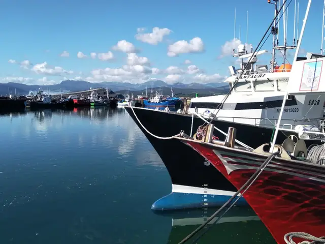 Visita guiada al puerto de Santoña y a la Galería del Arte de la Anchoa con degustación
