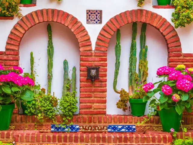 Visita guiada a los patios cordobeses