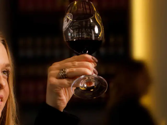 Visita guiada y cata de vinos en Bodegas Vi Rei